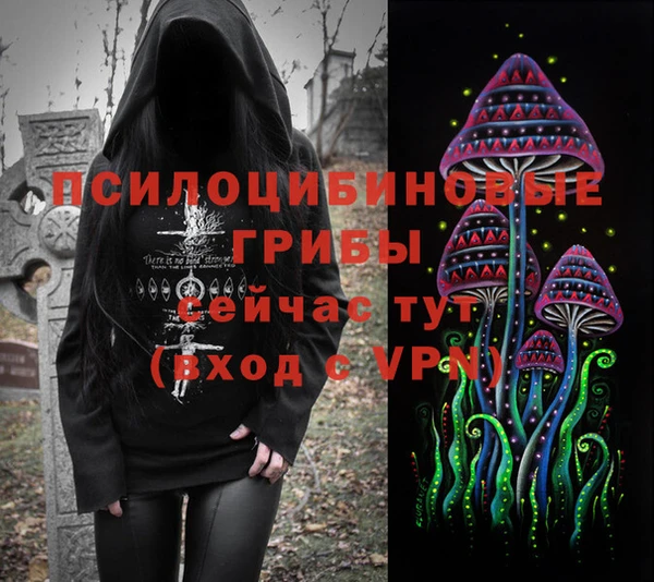 шишки Арсеньев