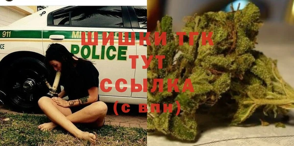 шишки Арсеньев