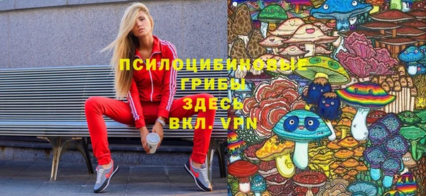 шишки Арсеньев