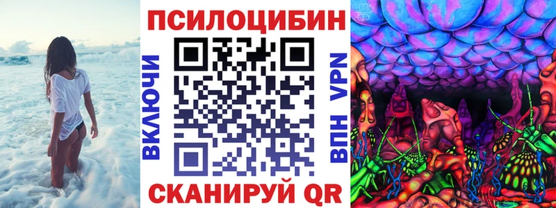 кракен сайт  закладки  Рузаевка  Галлюциногенные грибы Psilocybe 